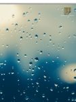 Water Marks