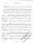Russian Rag - Image 3