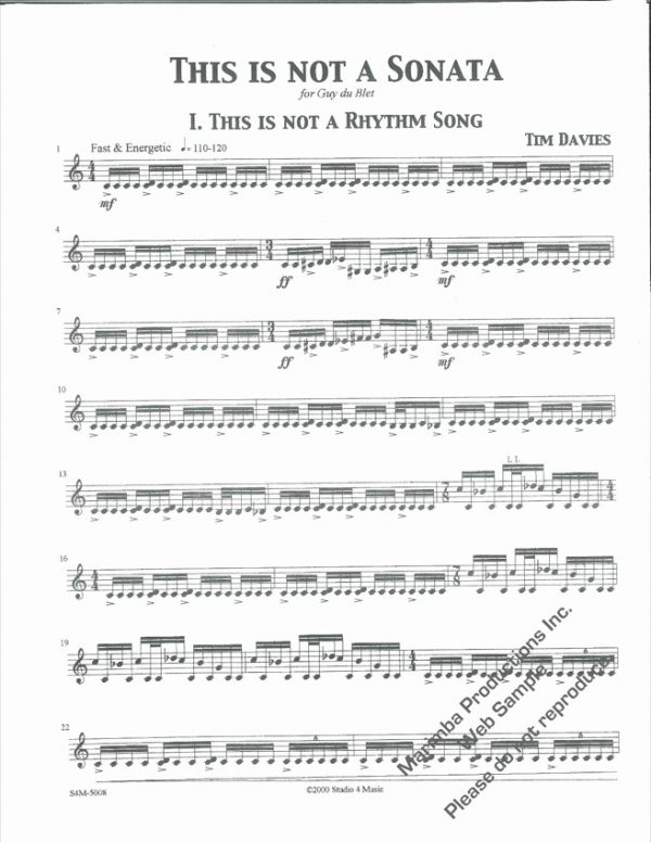 This Is Not A Sonata - Image 2