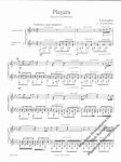 Playera - Marimba Duet (Granados/arr. Earl Hatch) - Image 2