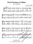 Grand Fantasy for Marimba - Image 3