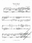 Sonata Brevis - Image 3