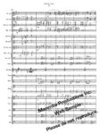 Bombala (arr. for Orchestra) - Image 2