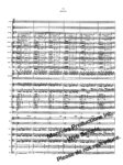 Rosewood Dreaming (arr. for Orchestra) - RENTAL - Image 2