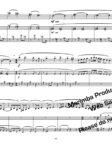 Ameline (Marimba/Flute Duo) - Image 2