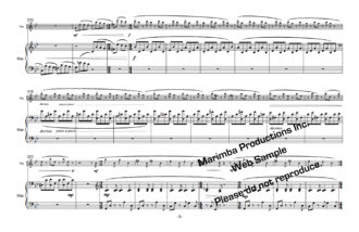 Marimba – Mostly Marimba