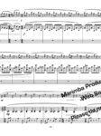 Ameline (Marimba/Violin Duo) - Image 2